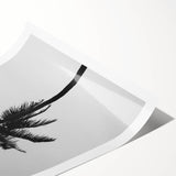 Black and White Palm Tree Silhouette - Minimalist Coastal Wall Art Print