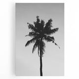 Black and White Palm Tree Silhouette - Minimalist Coastal Wall Art Print