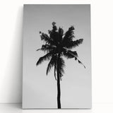 Black and White Palm Tree Silhouette - Minimalist Coastal Wall Art Print
