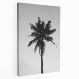 Black and White Palm Tree Silhouette - Minimalist Coastal Wall Art Print