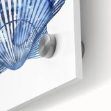 Blue Watercolor Seashell Coastal Wall Art - Nautical Ocean Decor Print