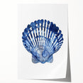 Blue Watercolor Seashell Coastal Wall Art - Nautical Ocean Decor Print