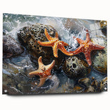 Coastal Wall Art – Starfish Ocean Art Prints for Nautical Home Decor