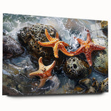 Coastal Wall Art – Starfish Ocean Art Prints for Nautical Home Decor
