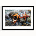 Coastal Wall Art – Starfish Ocean Art Prints for Nautical Home Decor