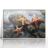 Coastal Wall Art – Starfish Ocean Art Prints for Nautical Home Decor