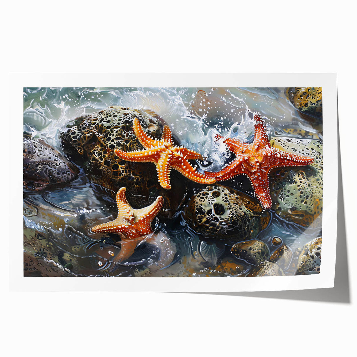 Coastal Wall Art – Starfish Ocean Art Prints for Nautical Home Decor