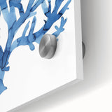 Coastal Wall Art: Blue Coral Illustration - Ocean-Inspired Nautical Print