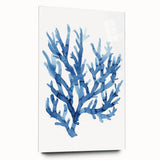 Coastal Wall Art: Blue Coral Illustration - Ocean-Inspired Nautical Print