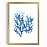 Coastal Wall Art: Blue Coral Illustration - Ocean-Inspired Nautical Print