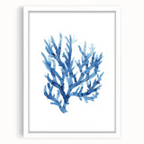 Coastal Wall Art: Blue Coral Illustration - Ocean-Inspired Nautical Print