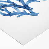 Coastal Wall Art: Blue Coral Illustration - Ocean-Inspired Nautical Print