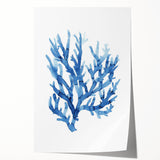 Coastal Wall Art: Blue Coral Illustration - Ocean-Inspired Nautical Print