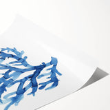 Coastal Wall Art: Blue Coral Illustration - Ocean-Inspired Nautical Print