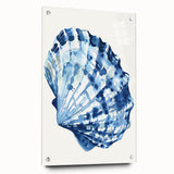 Coastal Wall Art: Blue Seashell Illustration - Ocean-Inspired Nautical Print