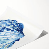 Coastal Wall Art: Blue Seashell Illustration - Ocean-Inspired Nautical Print