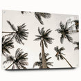 Tropical Palm Tree Wall Art – Coastal Beach-Themed Seaside Print