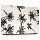 Tropical Palm Tree Wall Art – Coastal Beach-Themed Seaside Print