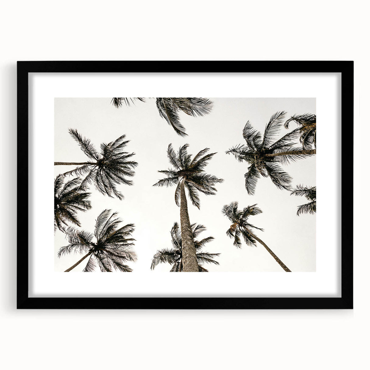 Tropical Palm Tree Wall Art – Coastal Beach-Themed Seaside Print