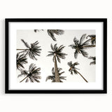 Tropical Palm Tree Wall Art – Coastal Beach-Themed Seaside Print