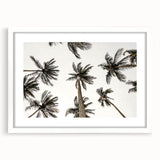Tropical Palm Tree Wall Art – Coastal Beach-Themed Seaside Print