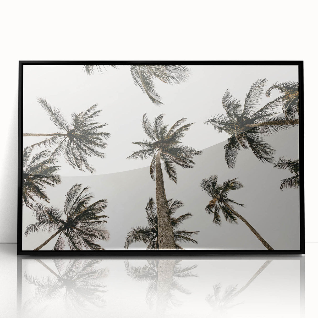 Tropical Palm Tree Wall Art – Coastal Beach-Themed Seaside Print