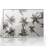 Tropical Palm Tree Wall Art – Coastal Beach-Themed Seaside Print