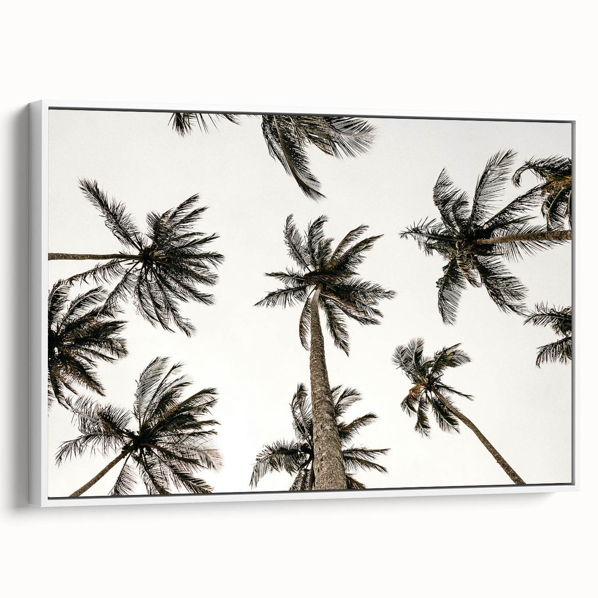 Tropical Palm Tree Wall Art – Coastal Beach-Themed Seaside Print
