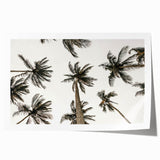 Tropical Palm Tree Wall Art – Coastal Beach-Themed Seaside Print