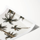 Tropical Palm Tree Wall Art – Coastal Beach-Themed Seaside Print