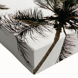 Tropical Palm Tree Wall Art – Coastal Beach-Themed Seaside Print