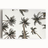 Tropical Palm Tree Wall Art – Coastal Beach-Themed Seaside Print