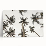 Tropical Palm Tree Wall Art – Coastal Beach-Themed Seaside Print