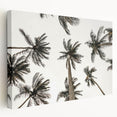Tropical Palm Tree Wall Art – Coastal Beach-Themed Seaside Print