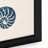 Nautilus Shell Coastal Wall Art – Nautical Beach-Themed Seaside Print