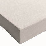 Nautilus Shell Coastal Wall Art – Nautical Beach-Themed Seaside Print