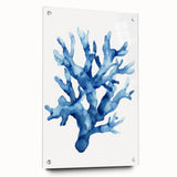 Coastal Wall Art: Blue Coral Illustration - Ocean-Inspired Nautical Print