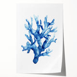Coastal Wall Art: Blue Coral Illustration - Ocean-Inspired Nautical Print