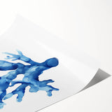 Coastal Wall Art: Blue Coral Illustration - Ocean-Inspired Nautical Print