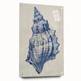 Coastal Wall Art: Blue Seashell Sketch - Nautical Ocean-Inspired Print