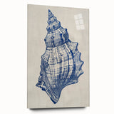 Coastal Wall Art: Blue Seashell Sketch - Nautical Ocean-Inspired Print