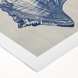 Coastal Wall Art: Blue Seashell Sketch - Nautical Ocean-Inspired Print