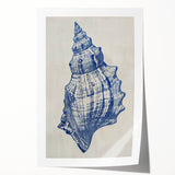 Coastal Wall Art: Blue Seashell Sketch - Nautical Ocean-Inspired Print