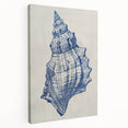 Coastal Wall Art: Blue Seashell Sketch - Nautical Ocean-Inspired Print