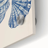 Coastal Wall Art: Blue Seashell Collection - Nautical Oceanic Decor