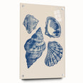 Coastal Wall Art: Blue Seashell Collection - Nautical Oceanic Decor