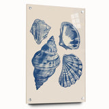 Coastal Wall Art: Blue Seashell Collection - Nautical Oceanic Decor