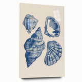 Coastal Wall Art: Blue Seashell Collection - Nautical Oceanic Decor