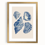 Coastal Wall Art: Blue Seashell Collection - Nautical Oceanic Decor