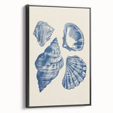 Coastal Wall Art: Blue Seashell Collection - Nautical Oceanic Decor